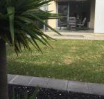 Ella House Adelaide - Accommodation Sunshine Coast