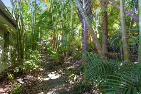 Palm Trees Noosa - Accommodation Sunshine Coast 6