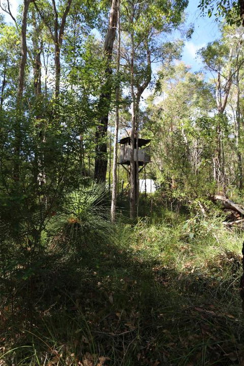 Nannup Bush Retreat - Accommodation Sunshine Coast 2