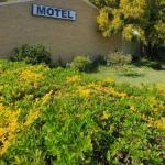 Esk Motel - Accommodation Sunshine Coast 0
