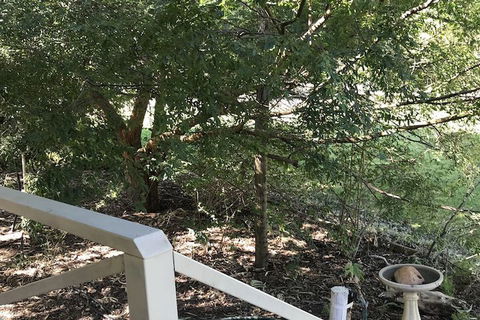 Padthaway Caravan Park - Accommodation Sunshine Coast 4