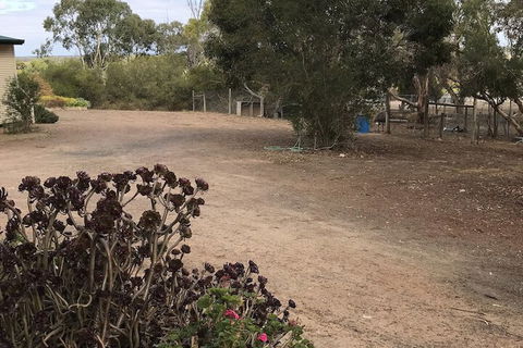 Padthaway Caravan Park - Accommodation Sunshine Coast 1
