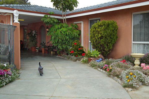 The Spanish Lodge And B&B - Accommodation Sunshine Coast 6
