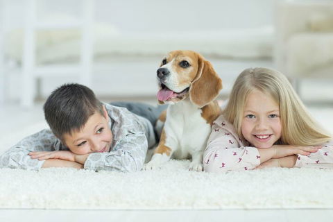 BOUTIQUE STAYS - Brighton Abode - Accommodation Sunshine Coast 5