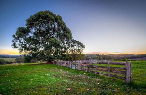 Dingup House - Accommodation Sunshine Coast 4