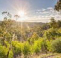 Skillogalee - Accommodation Sunshine Coast