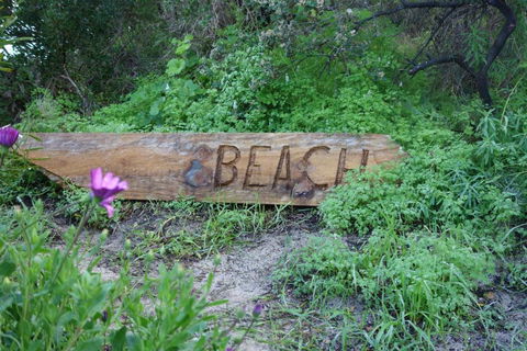 Oceana Sunset - Accommodation Sunshine Coast 5