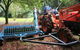 Terania Creek Farmstay - thumb 4