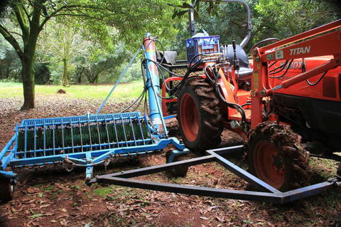 Terania Creek Farmstay - Accommodation Sunshine Coast 4