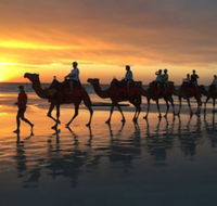 Beach House on Fox - Accommodation Sunshine Coast