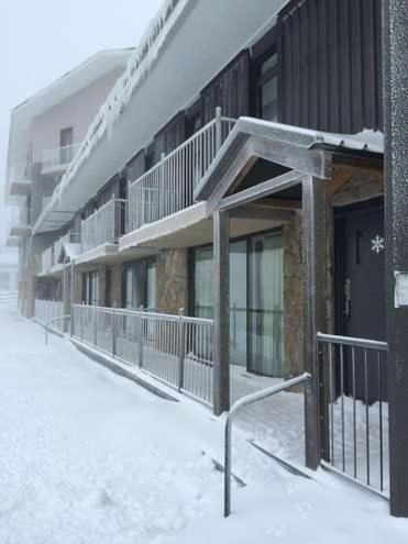 Molonys 12 - Accommodation Sunshine Coast 1