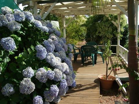 Nannup Riverview Cottage - Accommodation Sunshine Coast 3