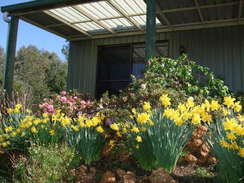 Nannup Riverview Cottage - Accommodation Sunshine Coast 0