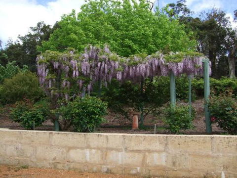 Nannup Riverview Cottage - Accommodation Sunshine Coast 5