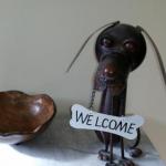 Bridgewater Dognme...furkid & Family Friendly... - Accommodation Sunshine Coast 1