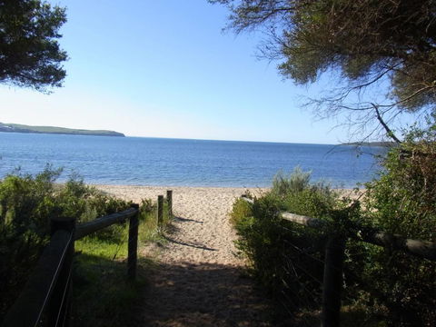 Black Dolphin Beach Penthouse - Accommodation Sunshine Coast 2