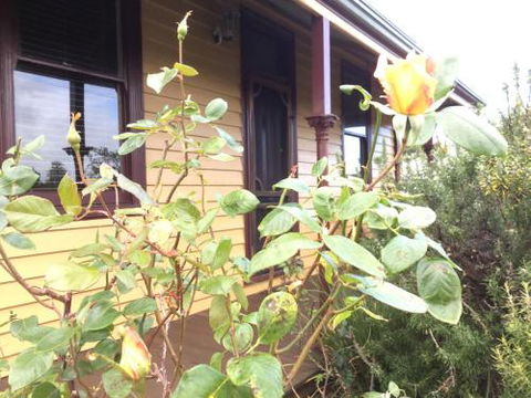 Albion Cottage - Accommodation Sunshine Coast 4