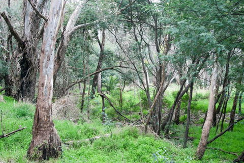 34 On Emily - Accommodation Sunshine Coast 4