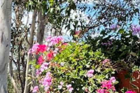 Crows Nest Motel - Accommodation Sunshine Coast 0