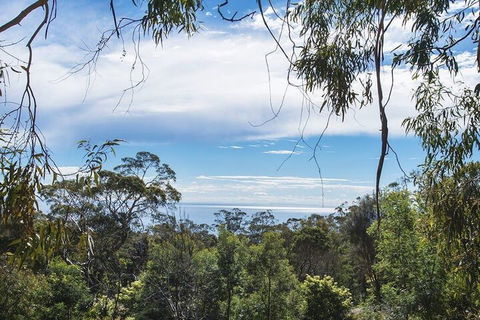 Bellevue Sur Mer - Accommodation Sunshine Coast 3