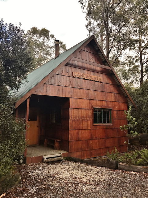 Cradle Mountain Highlanders Cottages - Accommodation Sunshine Coast 4