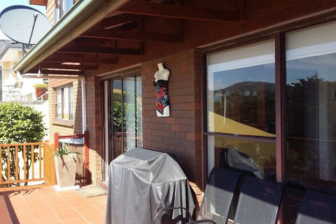 High On Penguin - Accommodation Sunshine Coast 7