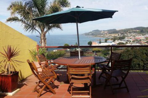 High On Penguin - Accommodation Sunshine Coast 0