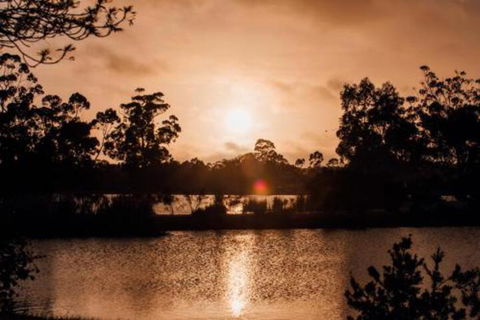 Bendigo Lakeside Accommodation - Accommodation Sunshine Coast 6