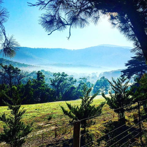 Chum Creek Hut - Accommodation Sunshine Coast 1
