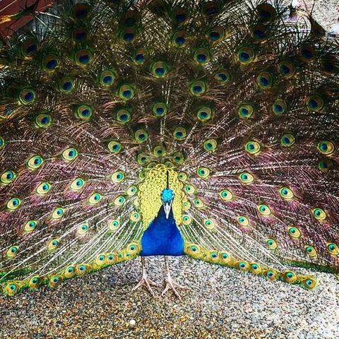 Chum Creek Hut - Accommodation Sunshine Coast 6