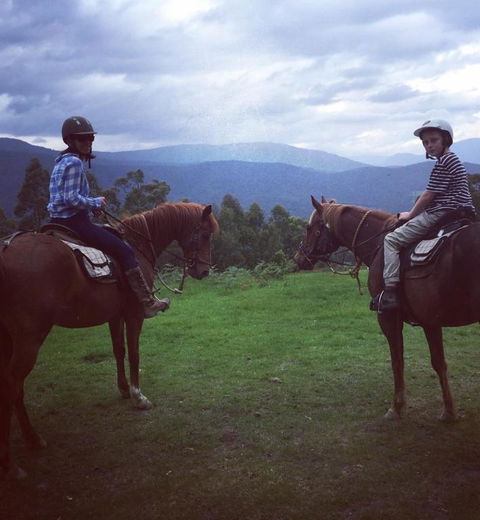 Chum Creek Hut - Accommodation Sunshine Coast 2