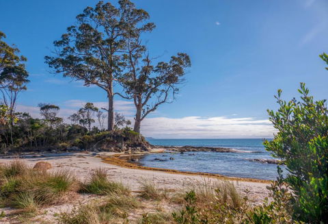 Adventure Bay Holiday Home - Accommodation Sunshine Coast 3