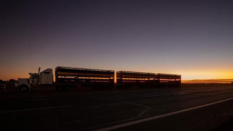 Longreach Outback Adventures - Accommodation Sunshine Coast 2