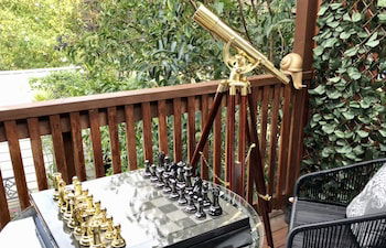The Little Jungle Studio - Accommodation Sunshine Coast 4