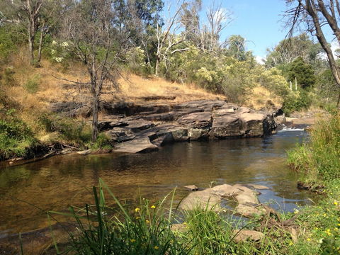 The Bower - Accommodation Sunshine Coast 3