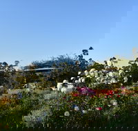 Labertouche Gypsy Creek Winery - Accommodation Sunshine Coast