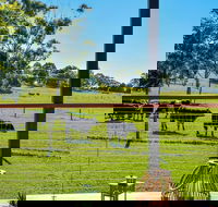 Curra Homestead Maleny - Accommodation Sunshine Coast