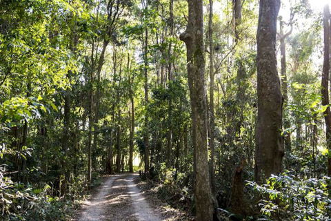 Rosewood Estate - Accommodation Sunshine Coast 1