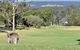 Villa Beaujolais Located Within Cypress Lakes - thumb 5