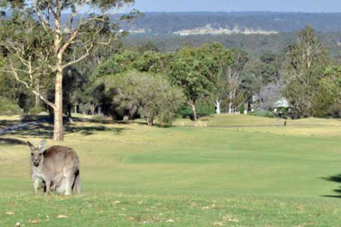 Villa Beaujolais Located Within Cypress Lakes - Accommodation Sunshine Coast 5