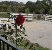 Silverbirch Cottage Loch - Accommodation Sunshine Coast