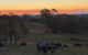 High Country Trail Rides & Farm Stay - thumb 0