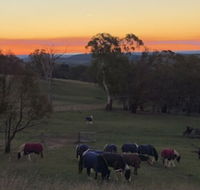 High Country Trail Rides  Farm Stay - Accommodation Sunshine Coast
