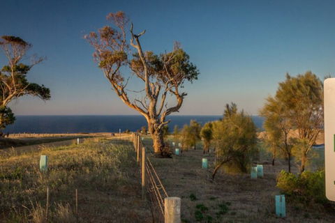 Fleurieu Coastal Retreat Lot 150 Myponga Beach Road - Accommodation Sunshine Coast 2