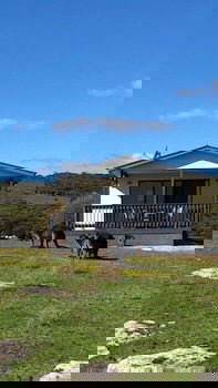 Waves And Wildlife - Accommodation Sunshine Coast 1