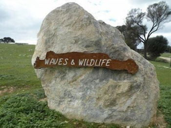 Waves And Wildlife - Accommodation Sunshine Coast 3