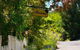 Halina - thumb 6