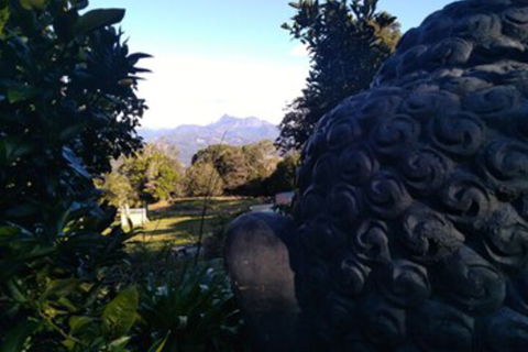 Ruah Rain Forest Retreat - Accommodation Sunshine Coast 0