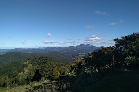 Ruah Rain Forest Retreat - Accommodation Sunshine Coast 6