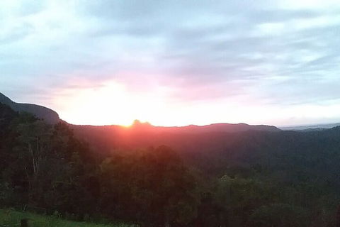 Ruah Rain Forest Retreat - Accommodation Sunshine Coast 4